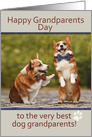 Happy Grandparents Day from the Dogs Corgis card