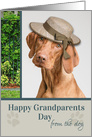 Happy Grandparents Day from the Dog Vizsla card