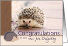 Congratulations on your new pet hedgehog card