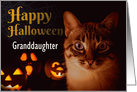 Happy Halloween Custom Name Cat and Pumpkins card