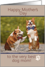 Happy Mothers Day from the Dogs with Two Corgis card
