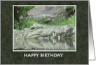 Happy Birthday with Alligator and Reflection in Pond card