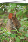 Happy Easter Wishes for Niece with Bunny Rabbit Photo card