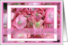 Happy Birthday to Grandmother with Pink Hydrangea card