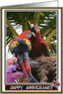 Parrot Couple and Palms Wedding Anniversary Card