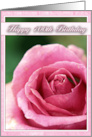 Happy 100th Birthday with close up Rose Photo card