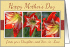 Mothers Day From Daughter and Son in Law with Amaryllis Flowers card