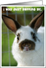 Hopping By to Wish You a Happy Birthday card