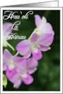 Hawaiian Birthday Card with Orchids hau oli la hanau card