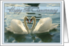 Happy 5th Anniversary White Swans card