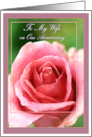 Pink Rose to My Wife on Our Anniversary card