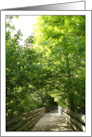 Let’s Take a Walk Photo with Tree Lined Boardwalk card