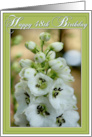 Happy 48th Birthday Card with White Delphinium Photo card