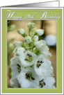 Happy 49th Birthday Card with White Delphinium Photo card
