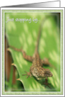Lizard Just Stopping By to wish you a Happy Birthday card