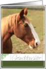 Granddaughter Birthday with Horse Photo Card