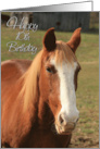 Happy 10th Birthday with Horse Photo Card