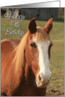 Happy 9th Birthday Card with a Brown Horse Photo Card