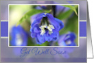 Get Well Soon with Blue Delphinium Photo card