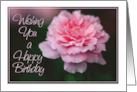 Wishing You a Happy Birthday with Pink Rose Photo Card