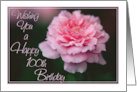 Wishing You a Happy 100th Birthday with Pink Rose Photo Card