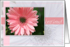 Best Friend Birthday with a Pink Daisy Photo Card