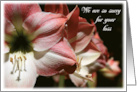 We are So Sorry For Your Loss with Standing Amaryllis Flowers Photo card