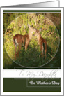 To My Daughter on Mother’s Day with Mother and Young Deer card