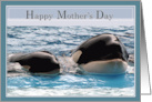 Happy Mother’s Day with Mother and Baby Orca card