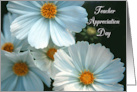 Teacher Appreciation Day with White Daisies Floral Photo Card