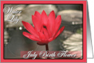 July Birth Flower with Water Lily card