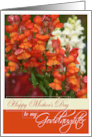 Happy Mother’s Day to My Goddaughter with Snapdragons card