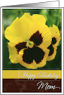 Happy Birthday Mom with Yellow Pansy Photo Card