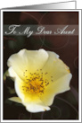 Thinking of You Aunt with a Pretty Soft Yellow Rose card