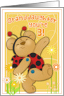 Button Bear Ladybug for Granddaughter 3rd Birthday card