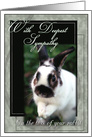 Loss of Rabbit Sympathy card