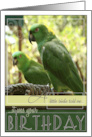 A Little Birdie Told Me It Was Your Birthday with Green Parrots card