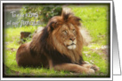 Fathers Day to the King of our Jungle with Lion photo card