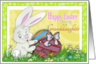 Happy Easter to My Granddaughter with Bunny Painting Eggs card