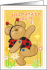 Ladybug Bear for Grandniece 3rd Birthday card
