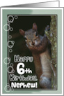 Nephew 6th Birthday with a squirrel card