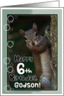 Godson Birthday Squirrel- 6th Birthday card