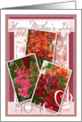 Happy Mothers Day to Mom with Snapdragon Snapshots card