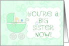 You’re a Big Sister Now New Baby Boy Green with Baby Carriage card