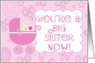 You’re a Big Sister Now- New Baby Girl/Sister card