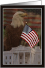 Presidents Day with Eagle, Flag, White House collage card