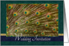 Wedding Invitation- Peacock Themed, Teal card