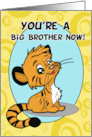 You’re a Big Brother Now with Cute Tiger Cub card