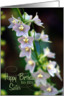 Happy Birthday to my Sister in Law-Delphinium Flowers card