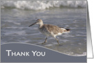 Thank you for Retirement Gift with Sea Bird along Ocean Waves Photo card